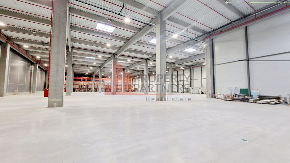 Spatiu industrial flexibil (Depozitare/Productie) - Chitila - Nord - Poză 2