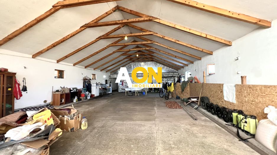 Ferma de vanzare cu 550MP utili si 27.500MP teren la asfalt - Poză 8