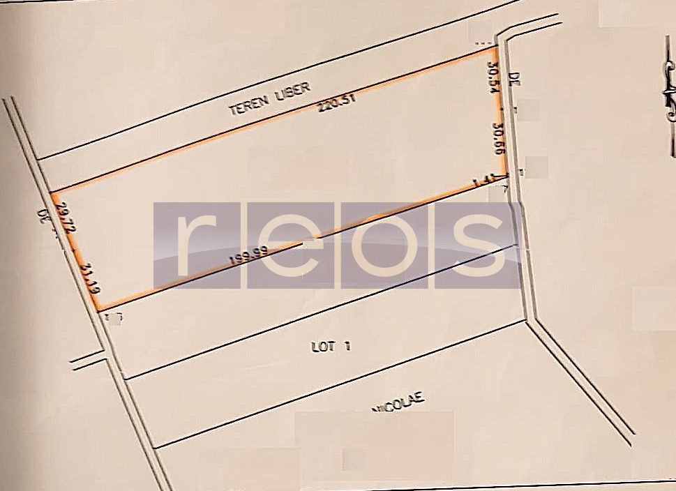TEREN DE VANZARE 12760MP COMUNA DASCALU - Poză 2