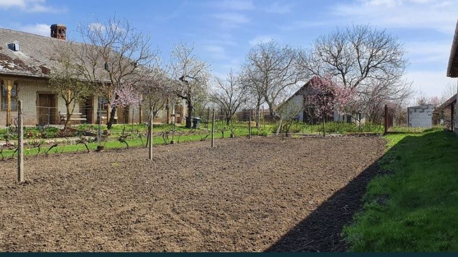 Vand casa in Com.Petresti, ultracentral, 42 ari teren - Poză 5