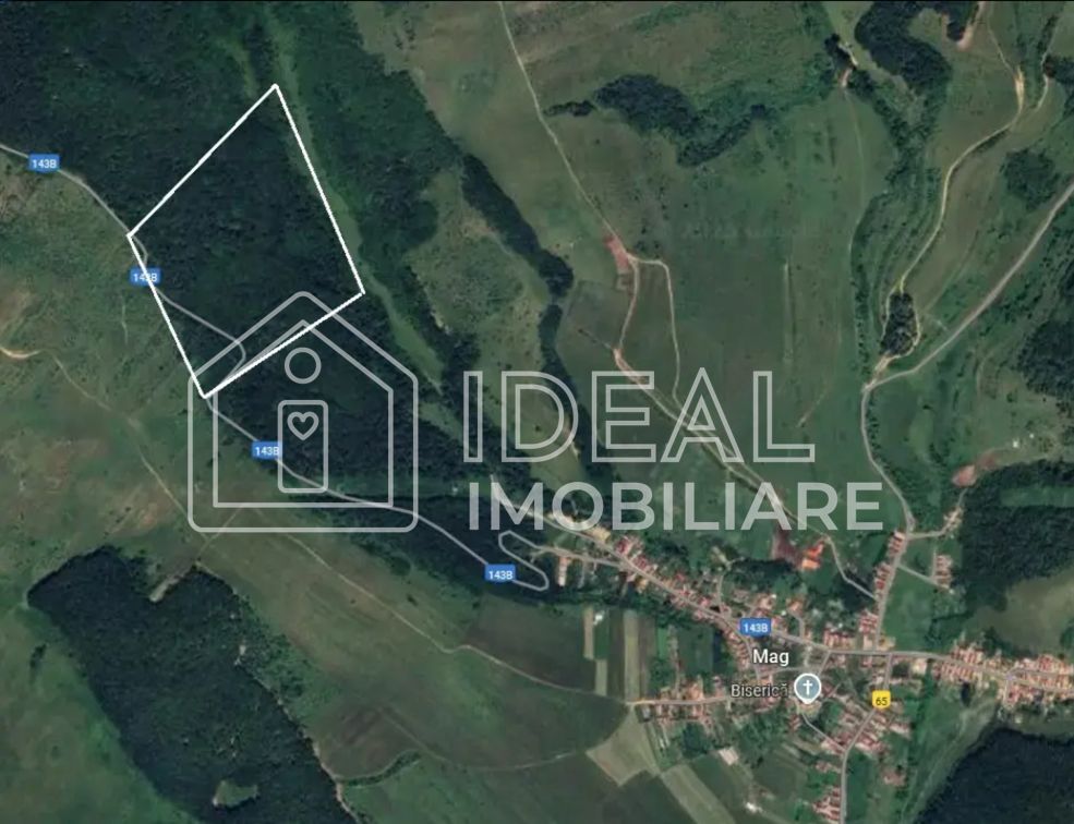 Pădure matură 12,71 ha - Mag, jud. Sibiu - potențial exploatare 2025 - Schiță 3
