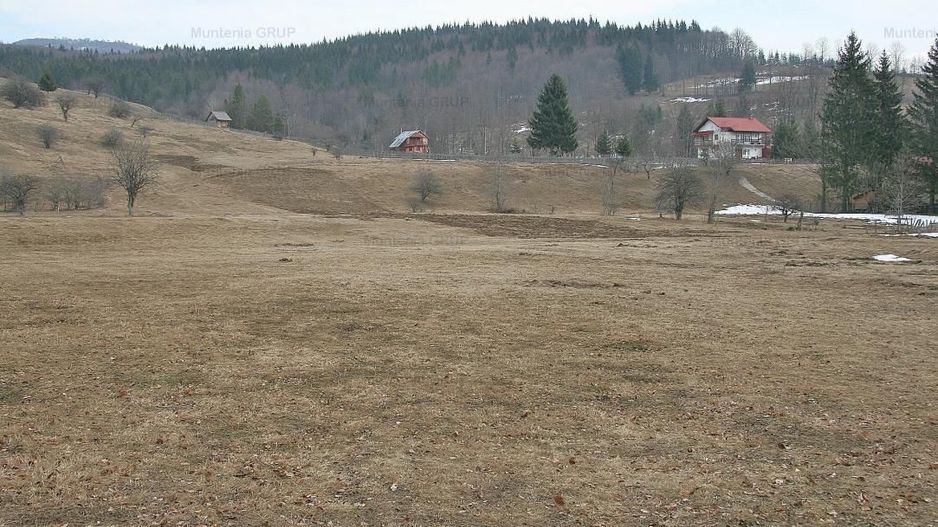 VALEA DOFTANEI - Traisteni, langa Conacul Dascalu, vanzare 2.537 mp. teren - Poză 9