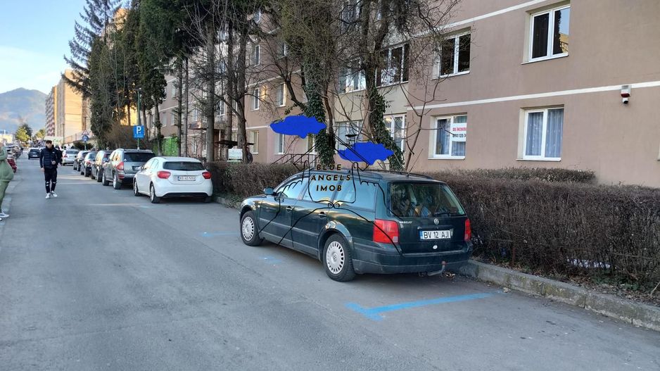 Apartament 3 camere PET FRIENDLY, renovat complet, Parter - Poză 10