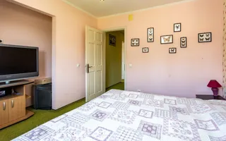 Oportunitate Rară – Vilă pe Malul Lacului Snagov | Piscina | Ponton | COMISION 0 - Poză 40