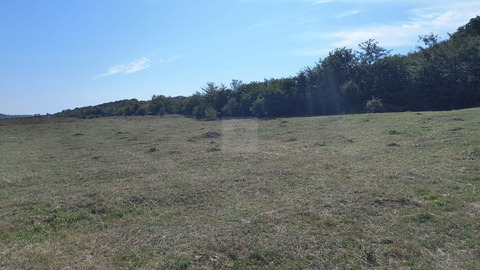 Teren intravilan investitie - Poză 3