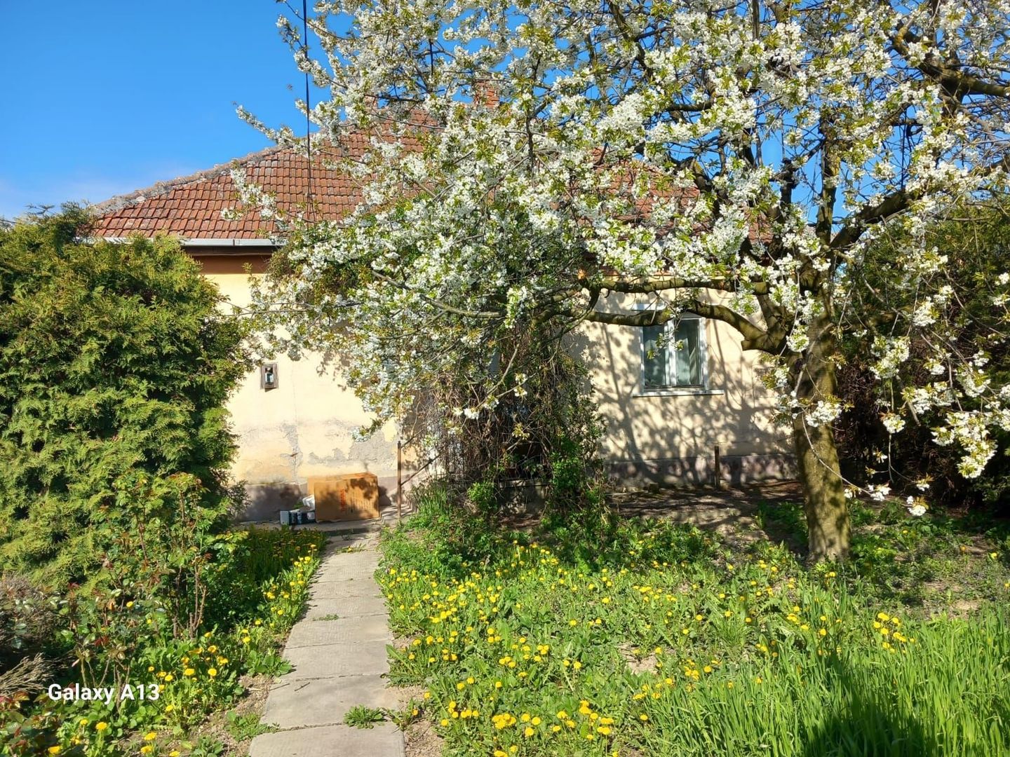 Ag EUROPA vinde casa cu 4 camere si teren de 60 ari in Ambud. - Poză 4