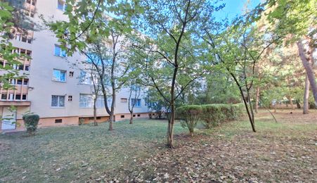 Apartament 2 camere de inchiriat, strada Constantin Brancusi!