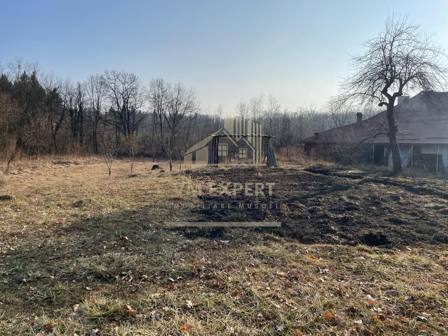 TEREN INTRAVILAN 1800 MP MIHAESTI ARGES COMISION 0 - Poză 7