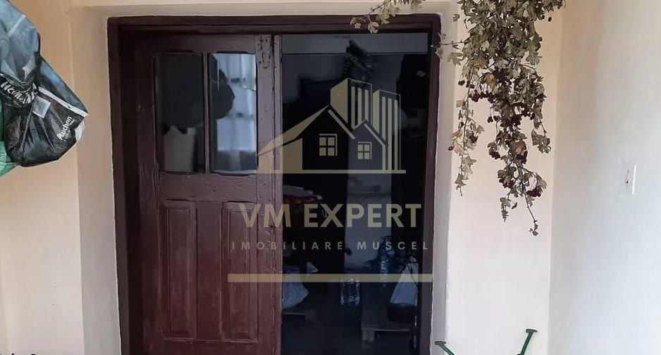 CASA 3 CAMERE, TEREN 5000 MP, RUCAR, ARGES - Poză 9