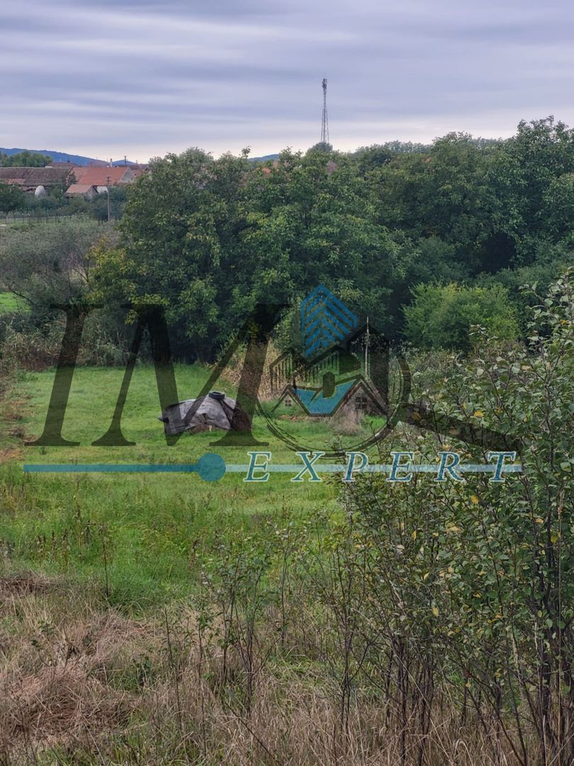 TEREN INTRAVILAN DE VANZARE IN CUT - Poză 2