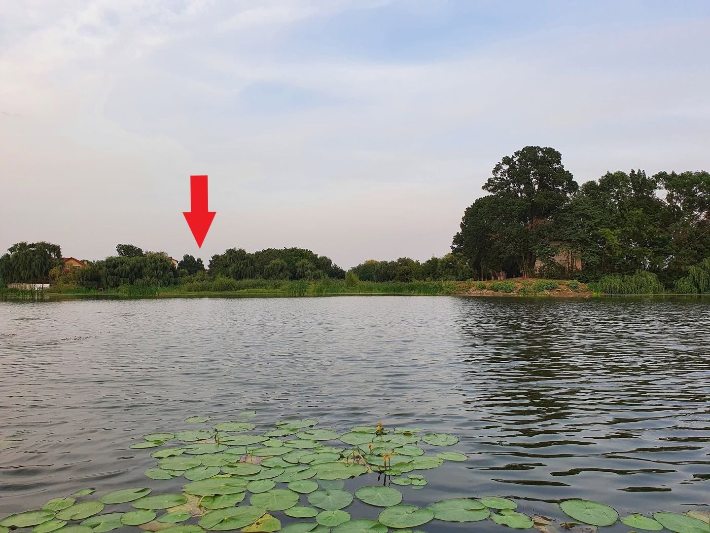 Casă și teren mare, cu ieșire la lac, lângă Mănăstirea Rebegești Crevedia - Poză 17