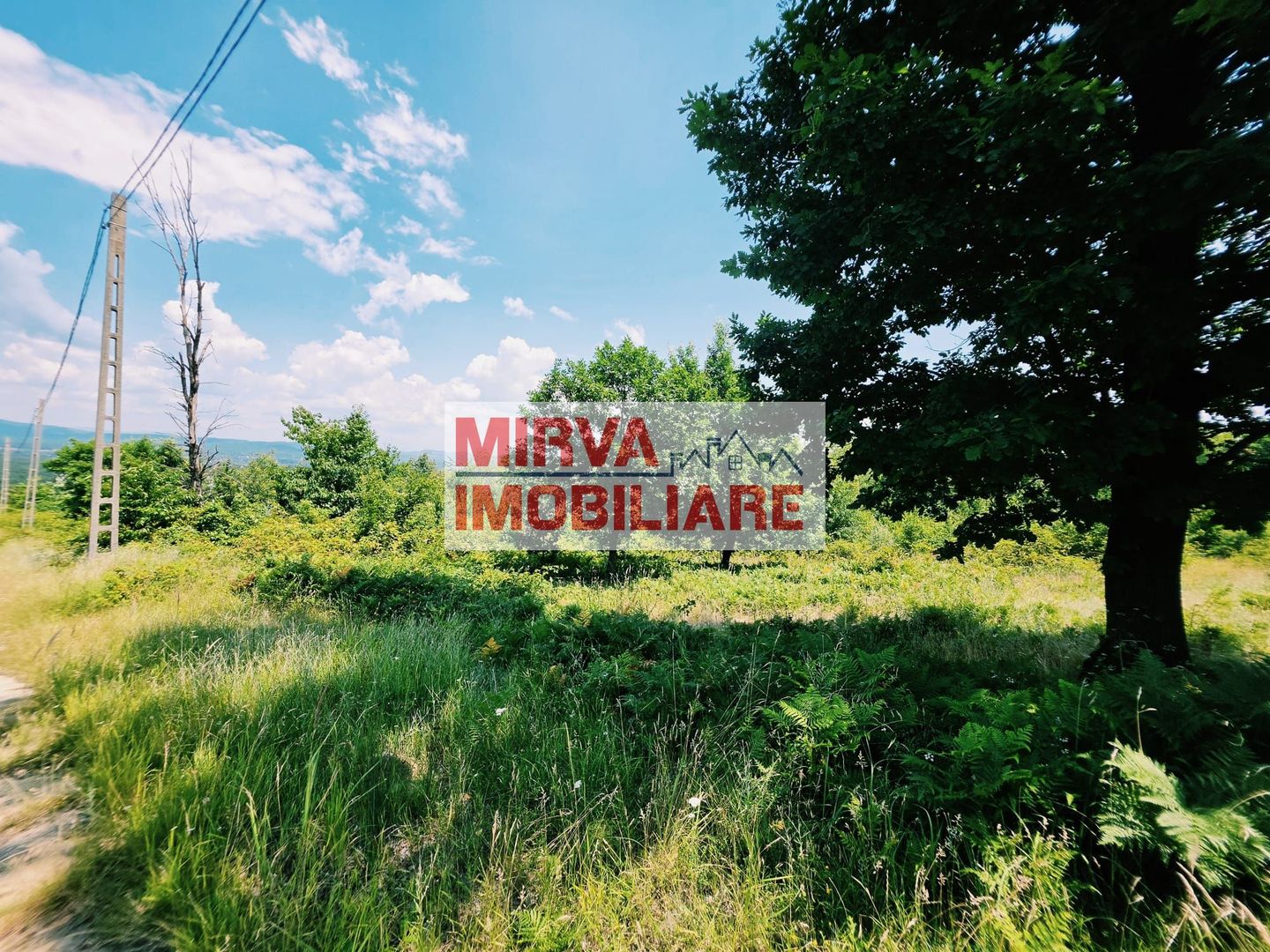 Teren extravilan 1.667 mp cu vedere panoramică – Dealul Ținea, Băicoi - Poză 3