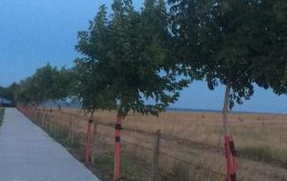 5.000 mp pe faleză în Costinești | Autorizație Resort inclusă - Poză 5