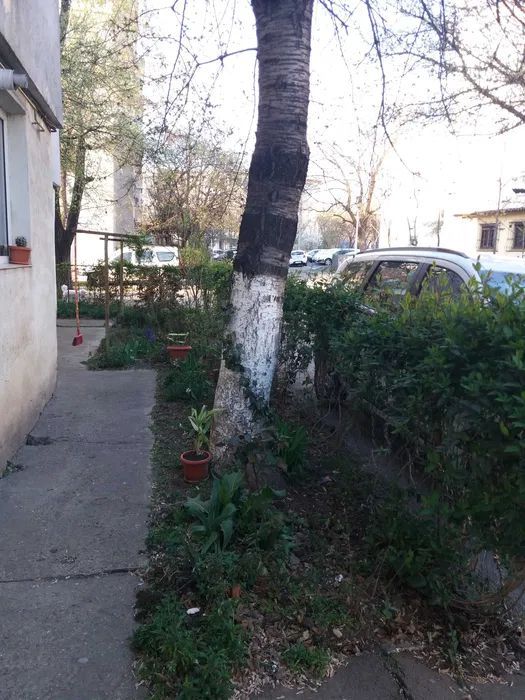 Apartament 3 dec SID,parter - Poză 2