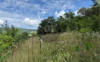 Teren Wewern, Medias - Poză 5