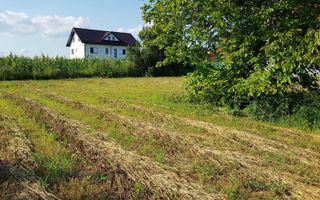 Teren intravilan – Adunatii Copaceni | 3.399 mp | Ideal investitie - Poză 2
