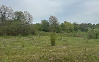 TEREN EXTRAVILAN 40000 MP, ALBESTI DE MUSCEL, CANDESTI - Poză 1