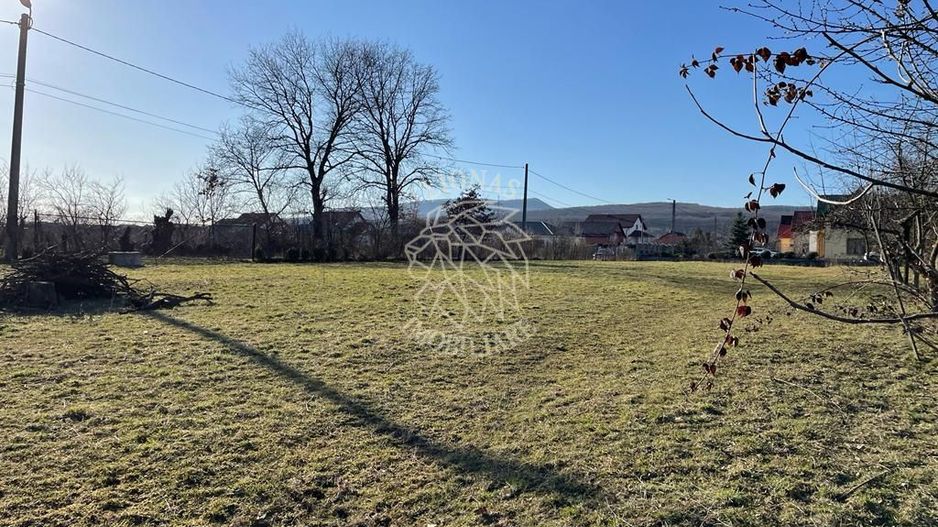 Teren intravilan 3000 mp-toate utilitati-pretabil casa, hala-Unirea - Poză 3