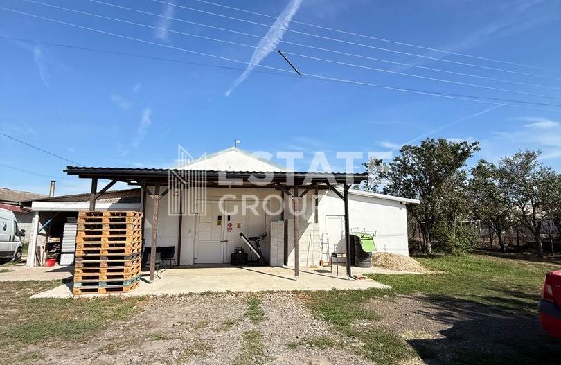 Hala Bucovat pentru productie sau depozitare - Poză 1