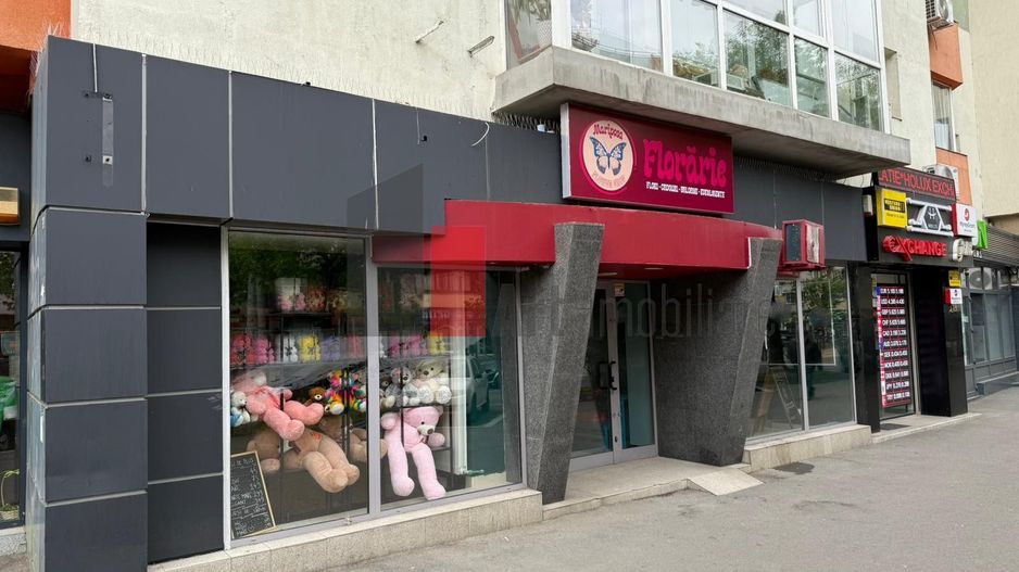 Spatiu comercial de inchiriat in zona Mosilor - Poză 8
