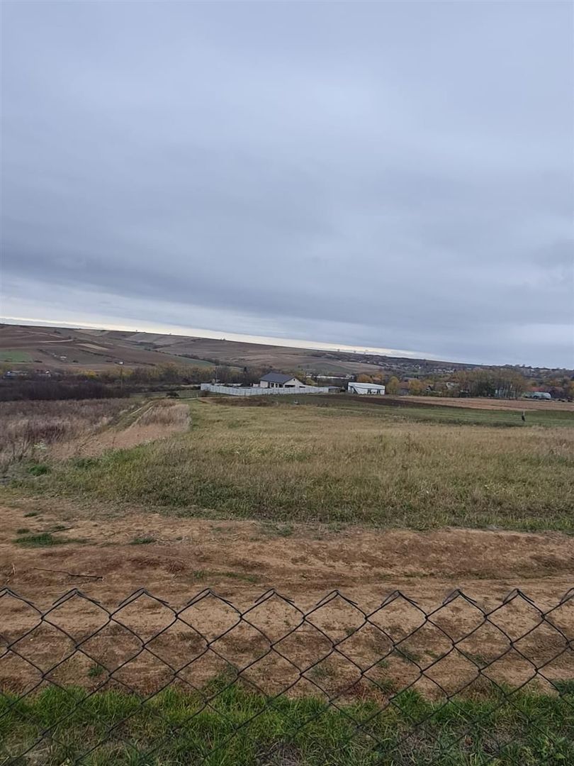 Teren Cetariu 9900 mp - Poză 1