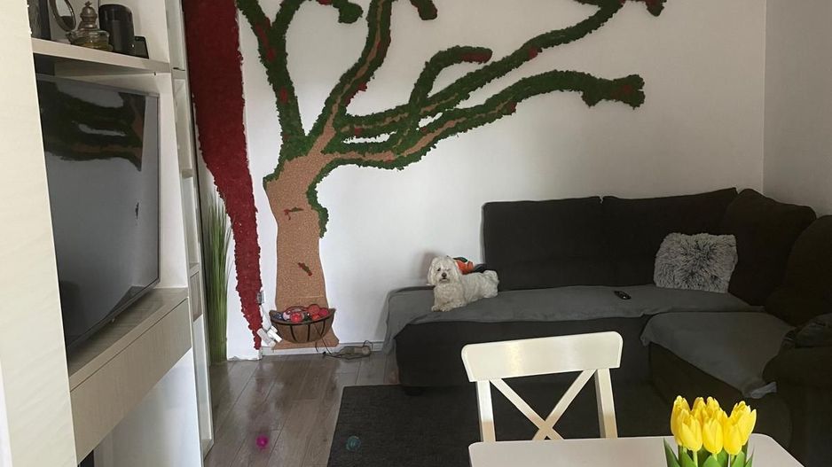 Apartament 3 camere  Bragadiru Mobilat Utilat Loc de Parcare - Poză 11