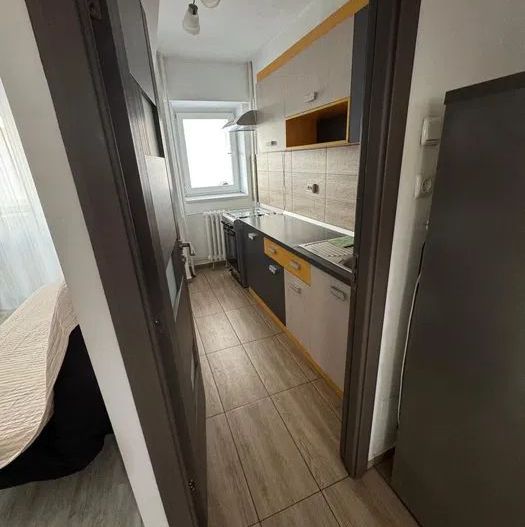 Garsoniera - Ion Mihalache - Poză 3