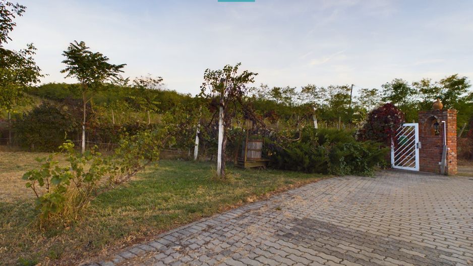 Spațiu comercial - Crama Pivnițele Birăuaș - Poză 23