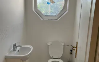 Închiriere casa individuala, 390 mp, teren 800, Gruia - Poză 22