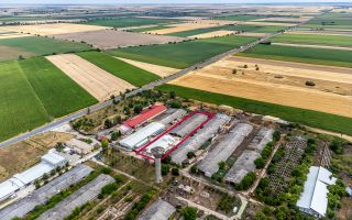 Unitate de abatorizare și procesare carne DN7  -  Nădlac - Poză 1