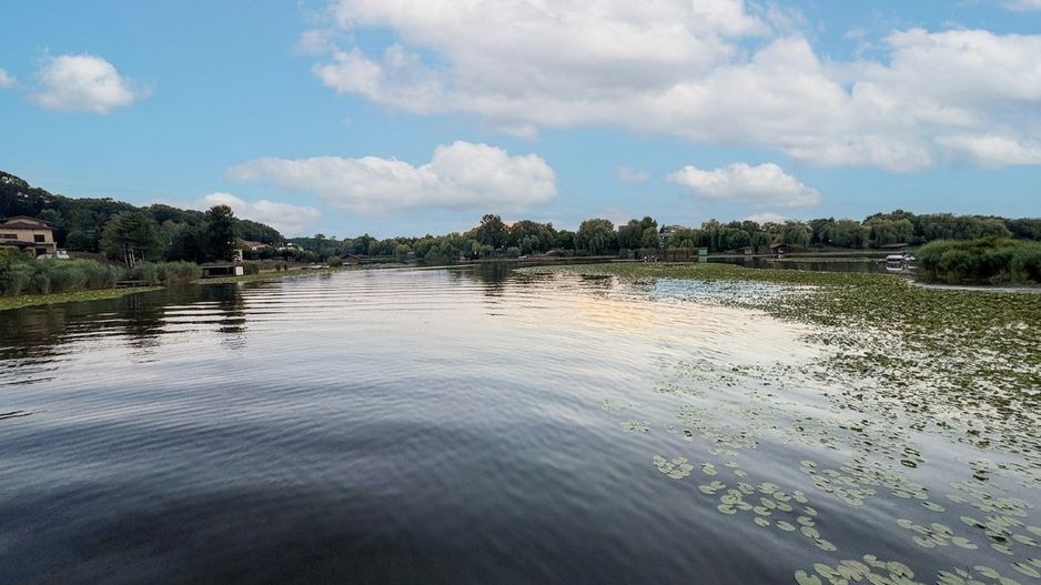 Teren în Snagov, intre Lac și Pădure - Poză 4