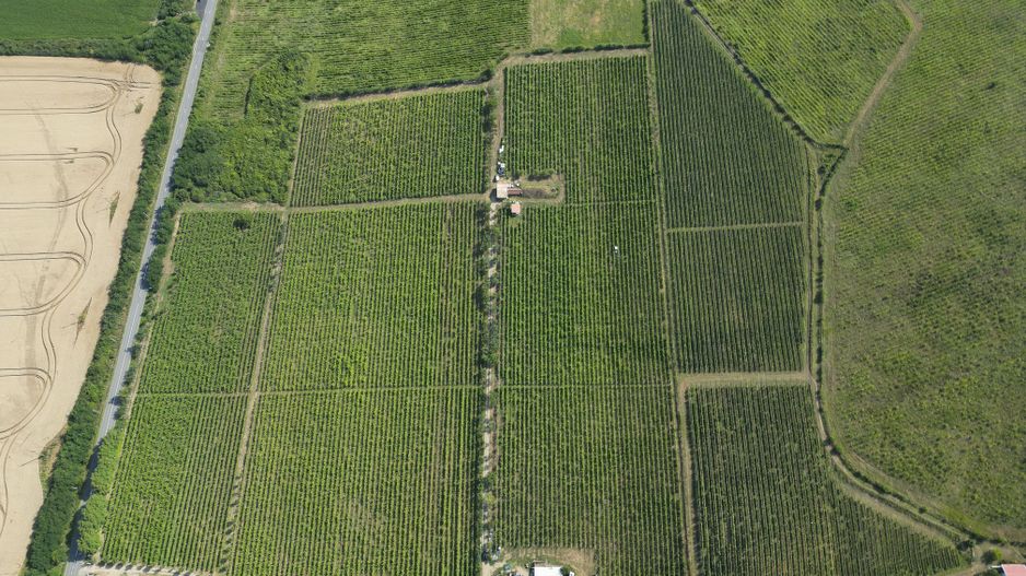 Vie Tradițională „Halta Lupilor” - Poză 39