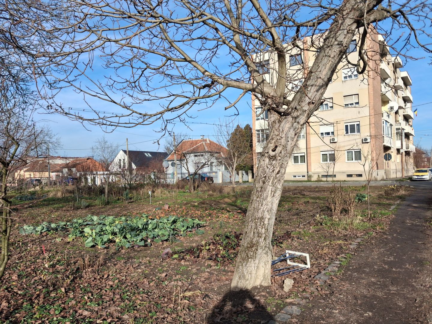 BRASADAS vinde 2000 mp. teren intravilan Diana Titulescu. - Poză 4