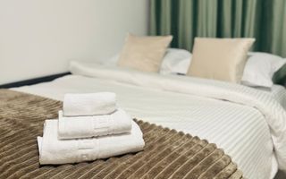 Apartament 1 camera Dec 40 mp Valea Lupului 350 euro - Poză 2