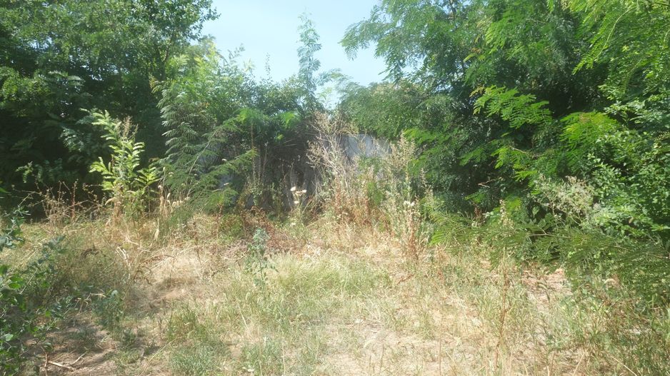 LACUL TEI - Tei Toboc, imobil teren 200 mp. plus casa din caramida - Poză 21