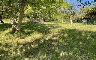 Teren intravilan 650- 669 mp de vânzare – Strada Dâmbului Bistrita - Poză 5