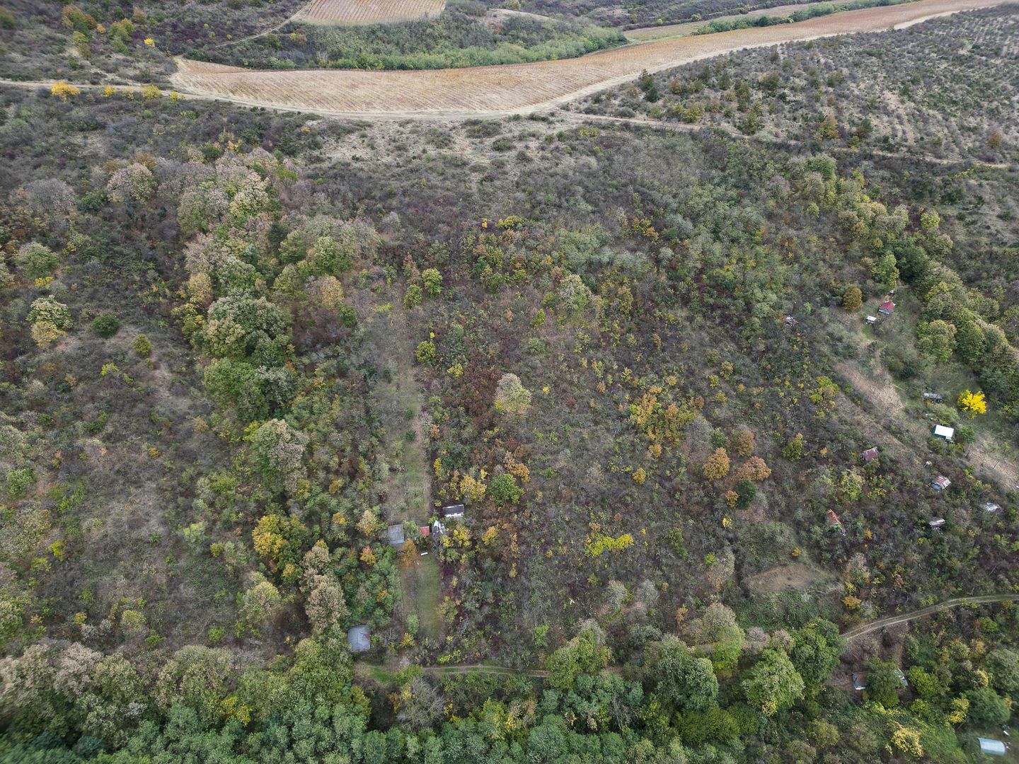 Teren 18,300mp Ghioroc - Poză 10