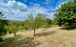 Casă + 1 apartament separat pe teren de 1.949 mp  cu panoramă Chinteni - Poză 28
