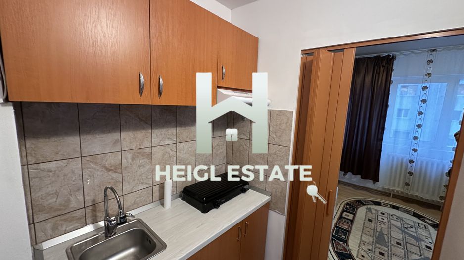 Apartament cu 1 camera in zona Buziasului - Poză 4