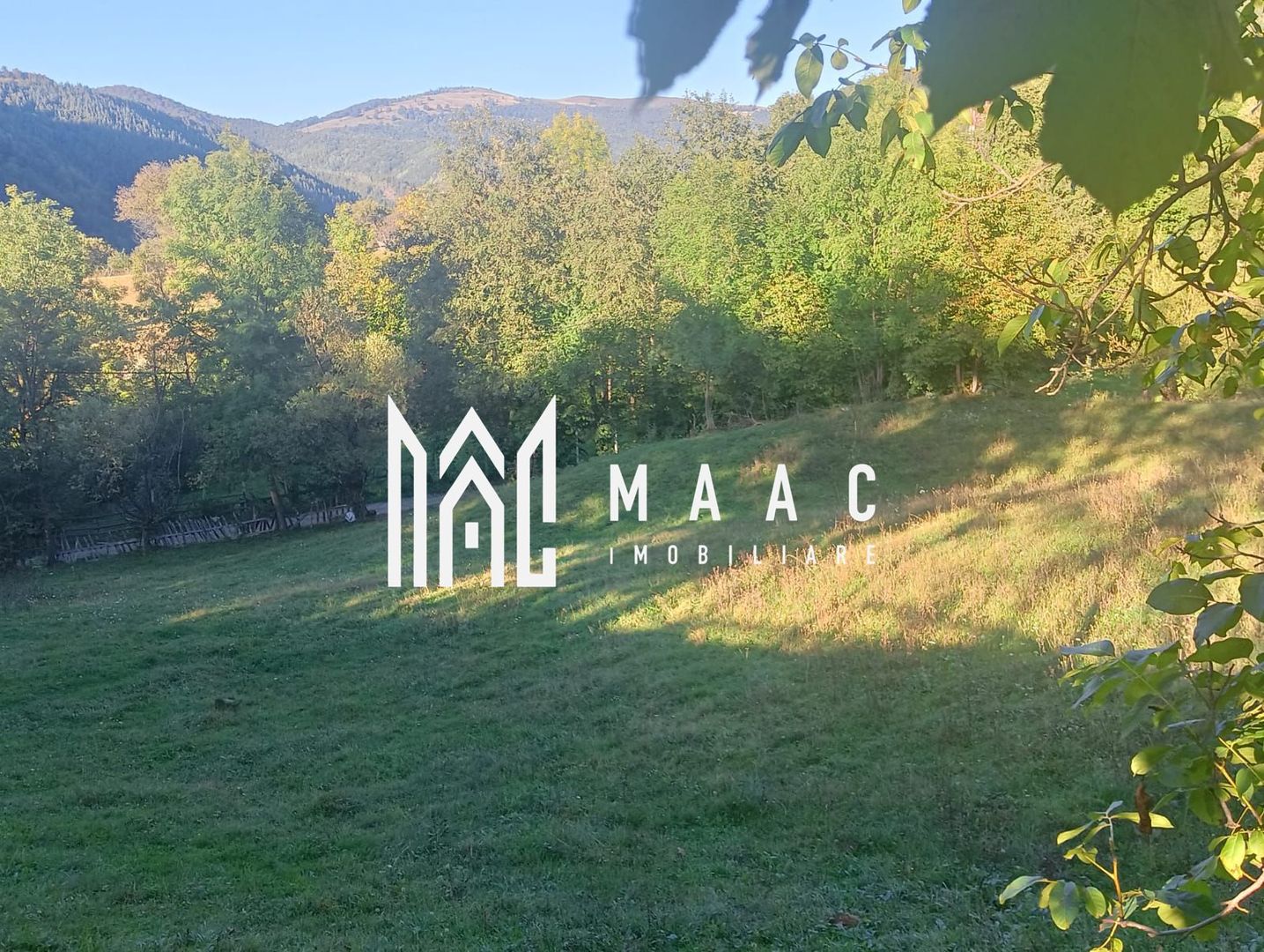 Teren | 1.525 mp  Râul Sadului - Poză 3