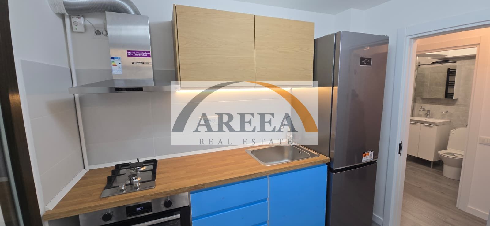 ELEGANT SI COCHET - studio PREMIUM - Plevnei-Cismigiu, etaj 2 - Poză 1