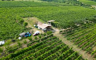 Vie Tradițională „Halta Lupilor” - Poză 26