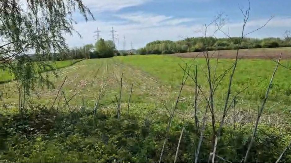Teren Agrigol Arabil | Titu | Dambovita | 5000 mp | Sosea - Poză 4