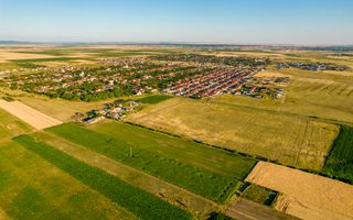 Teren de 1.3ha situat în Livada - Poză 4