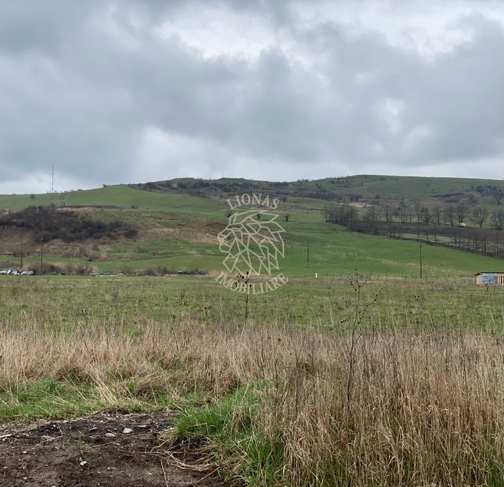 Teren Intravilan 850 mp-drum privat-ideal casa-Zona Zavoaie - Poză 3