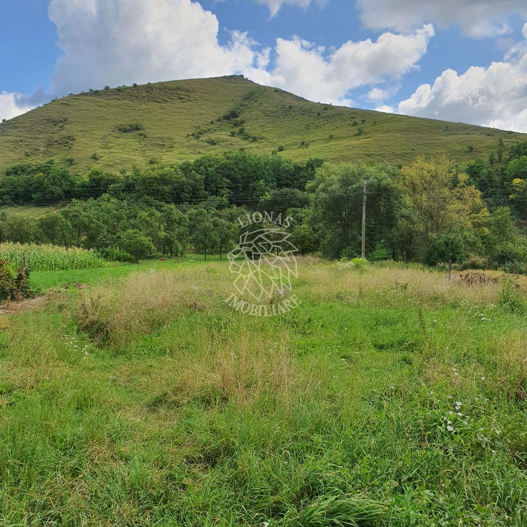 Casa 3 camere 126 mp-teren 4000 mp-Loc. Matei, Zona Centru - Poză 7
