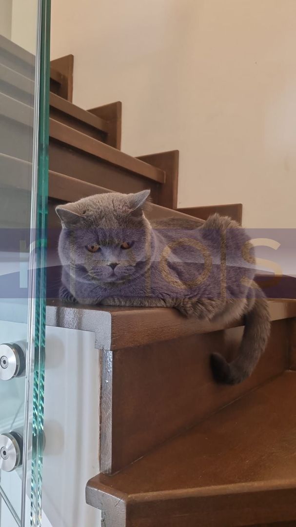 VANZARE -DUPLEX 3 CAMERE -BUCURESTI  Mall Select Residence - Poză 24