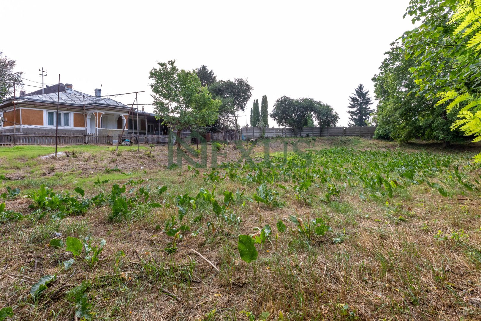 Casă de vânzare în Bacău, Tenen 1.000mp – Strada Militari - Poză 4