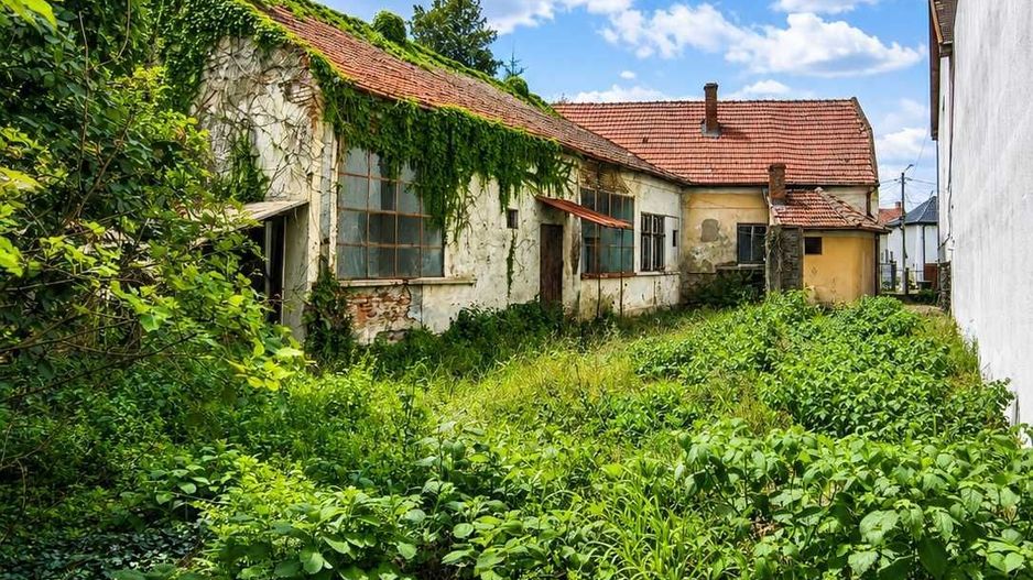 Proprietate de investiție, zona zero Satu Mare – teren 744 m2, front 19 m - Poză 4