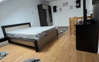 Apartament 2 camere | 40MPU | Pet Friendly | Terezian | Mansarda - Poză 6